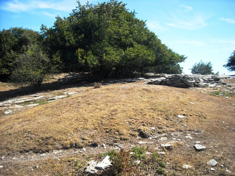 Salera