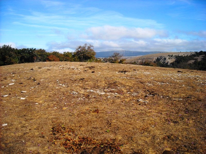 Tanturrandi
