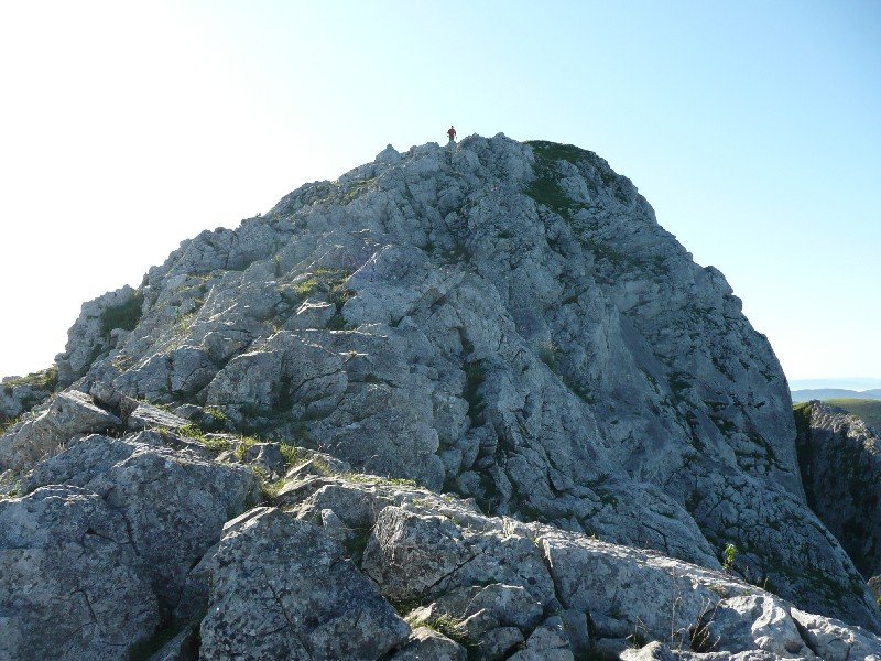 Tontorra