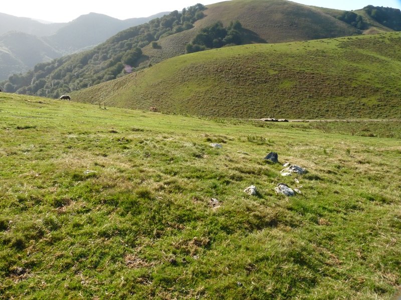 Mailarrieta