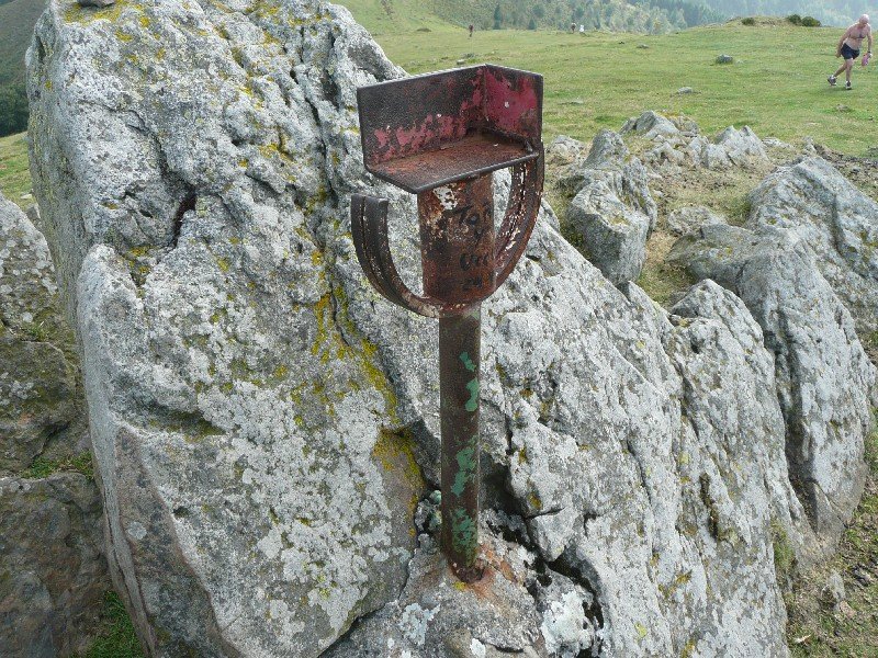 Buzoia