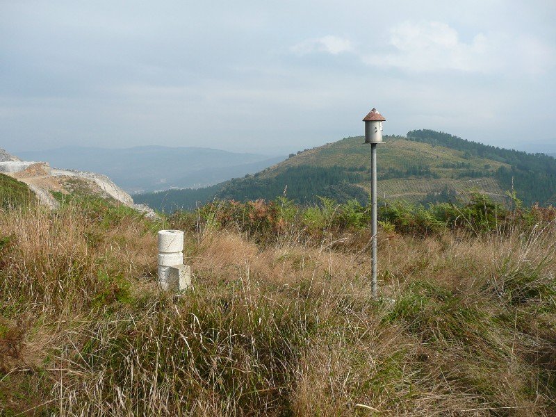 Tontor Berria