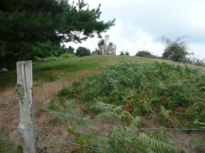 Tontorra