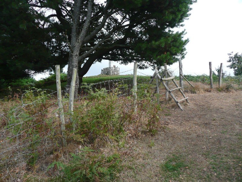 Tontorra