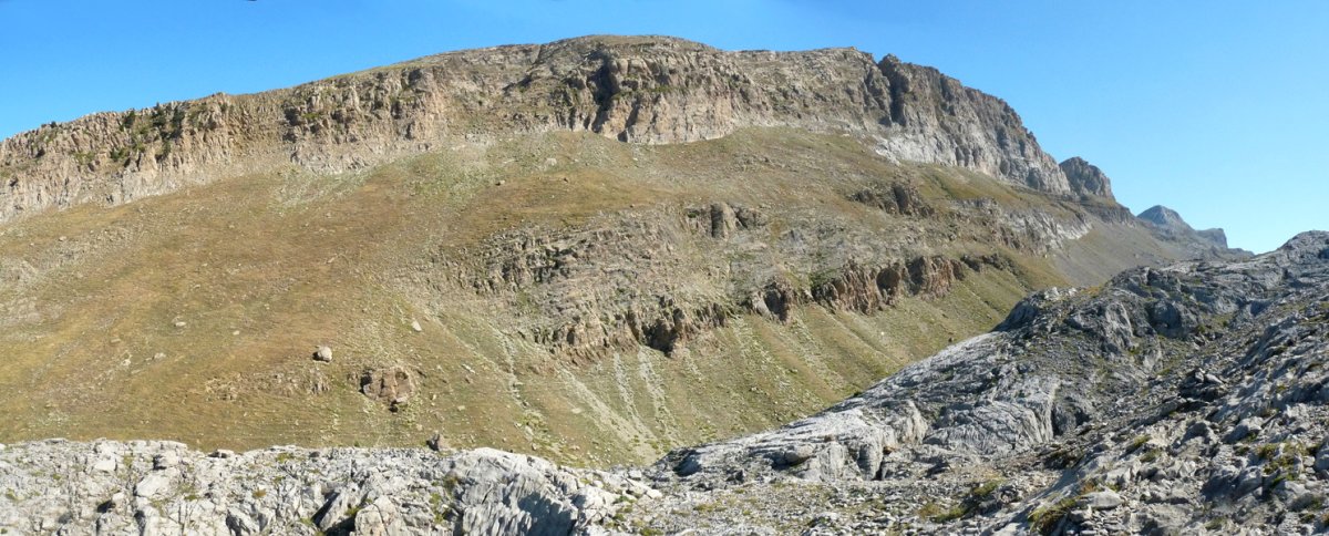 Budogiako gandorra