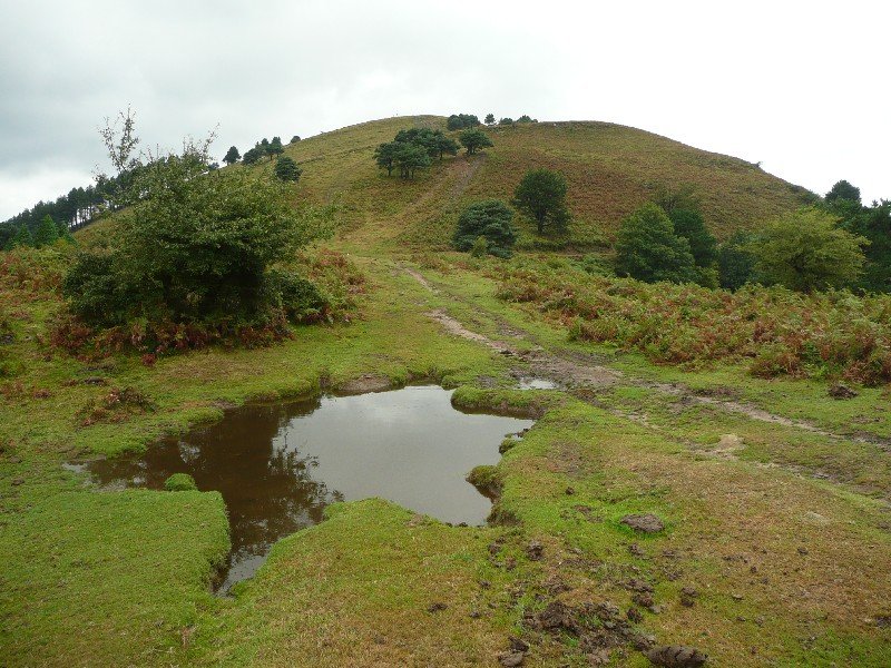 Ganeran