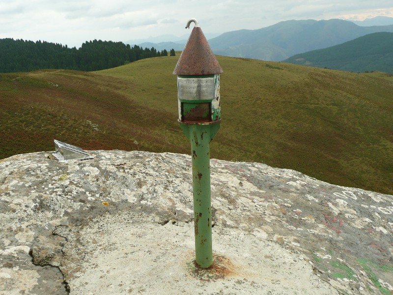 Buzoia