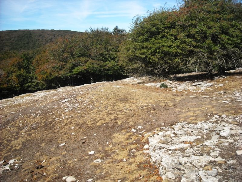 Bordas Larginburu