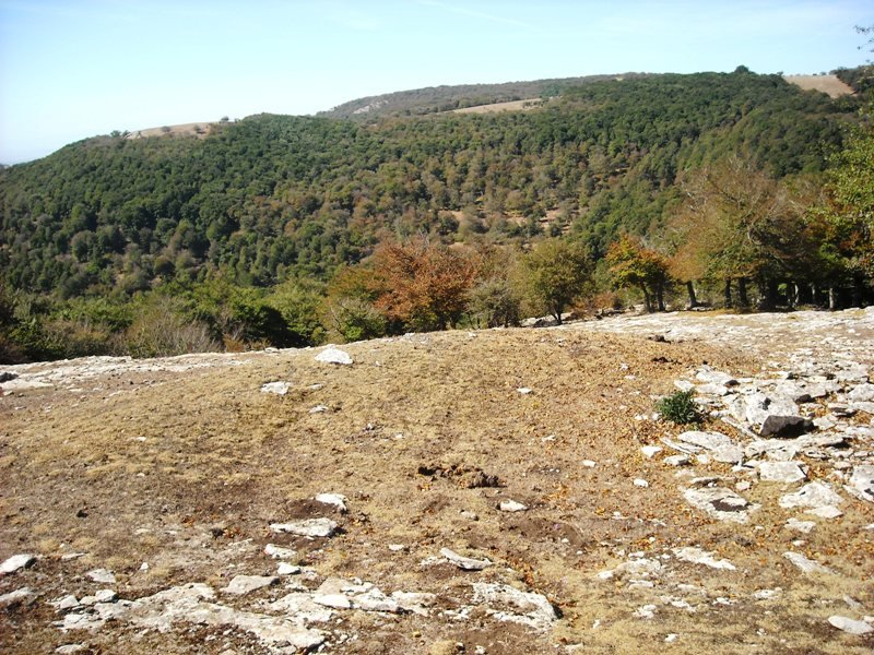 Bordas Larginburu