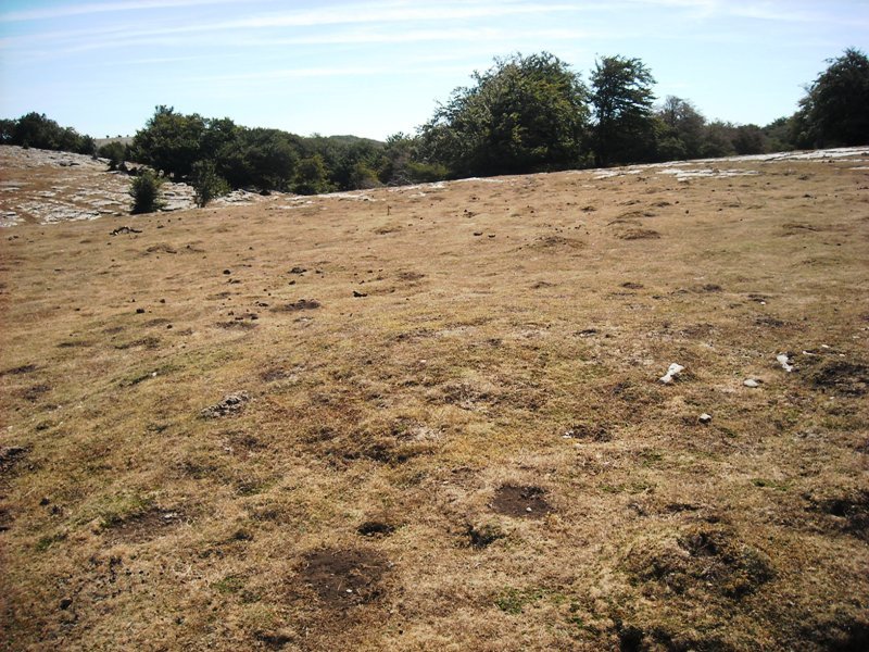 Larrenganbela