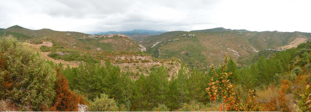Ugarrongo arroila