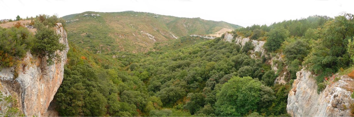 Ugarrongo arroila