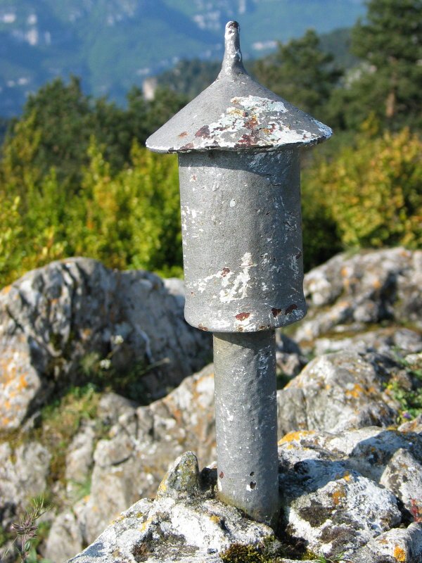Buzoia