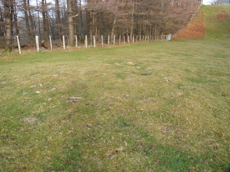 Gorosti Bizkar