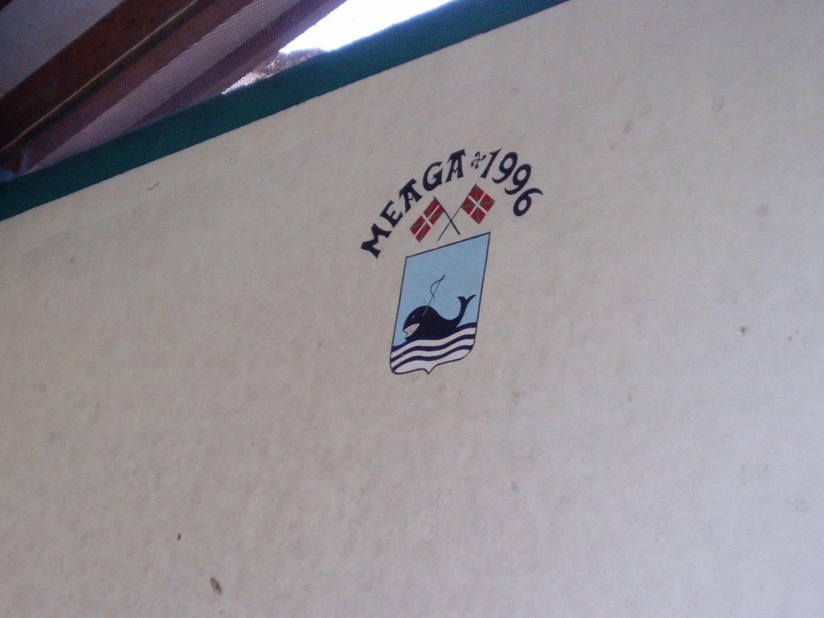 Meaga eta balea