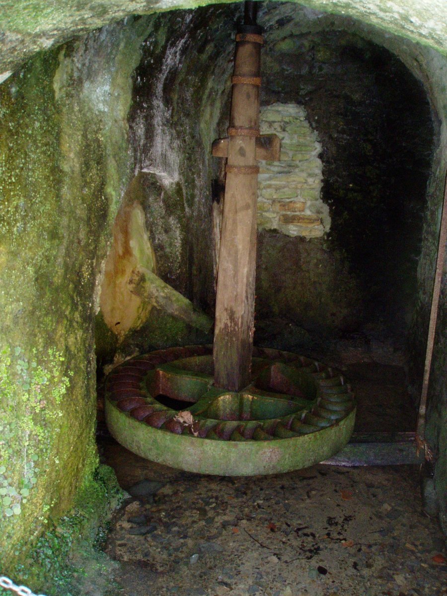 Agorregi