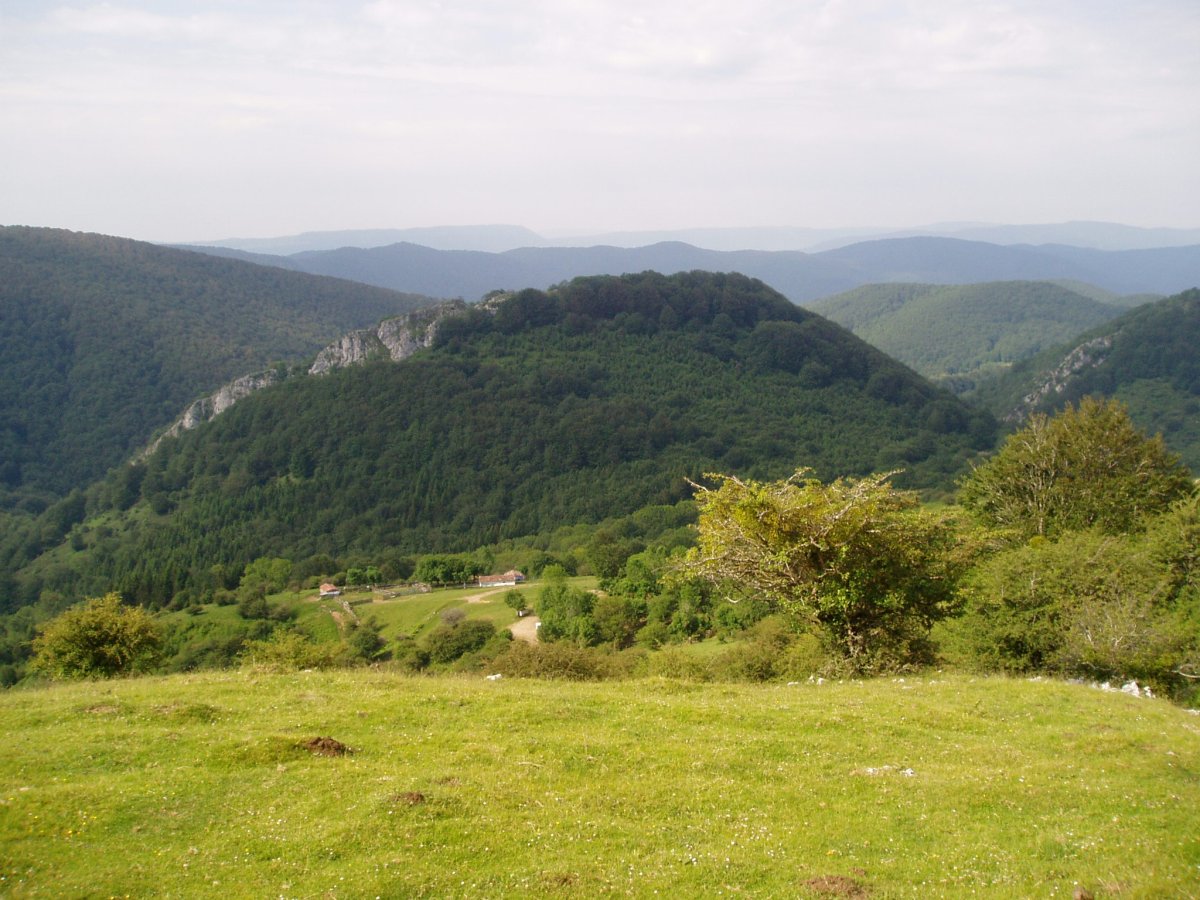 Akaitz txiki, Enirio