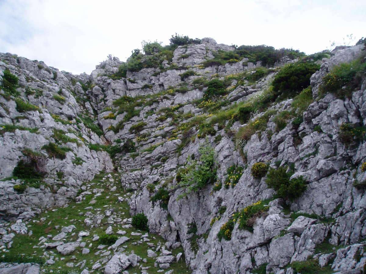 Landaredia harkaitzetan