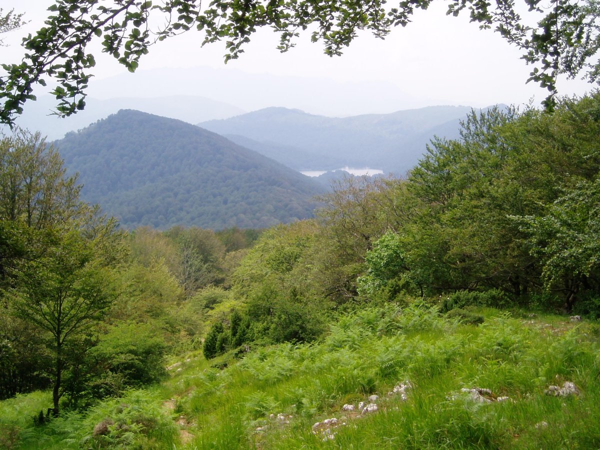 Irupagoeta-Lizarrusti: Alleku, Lareo eta Sastarri