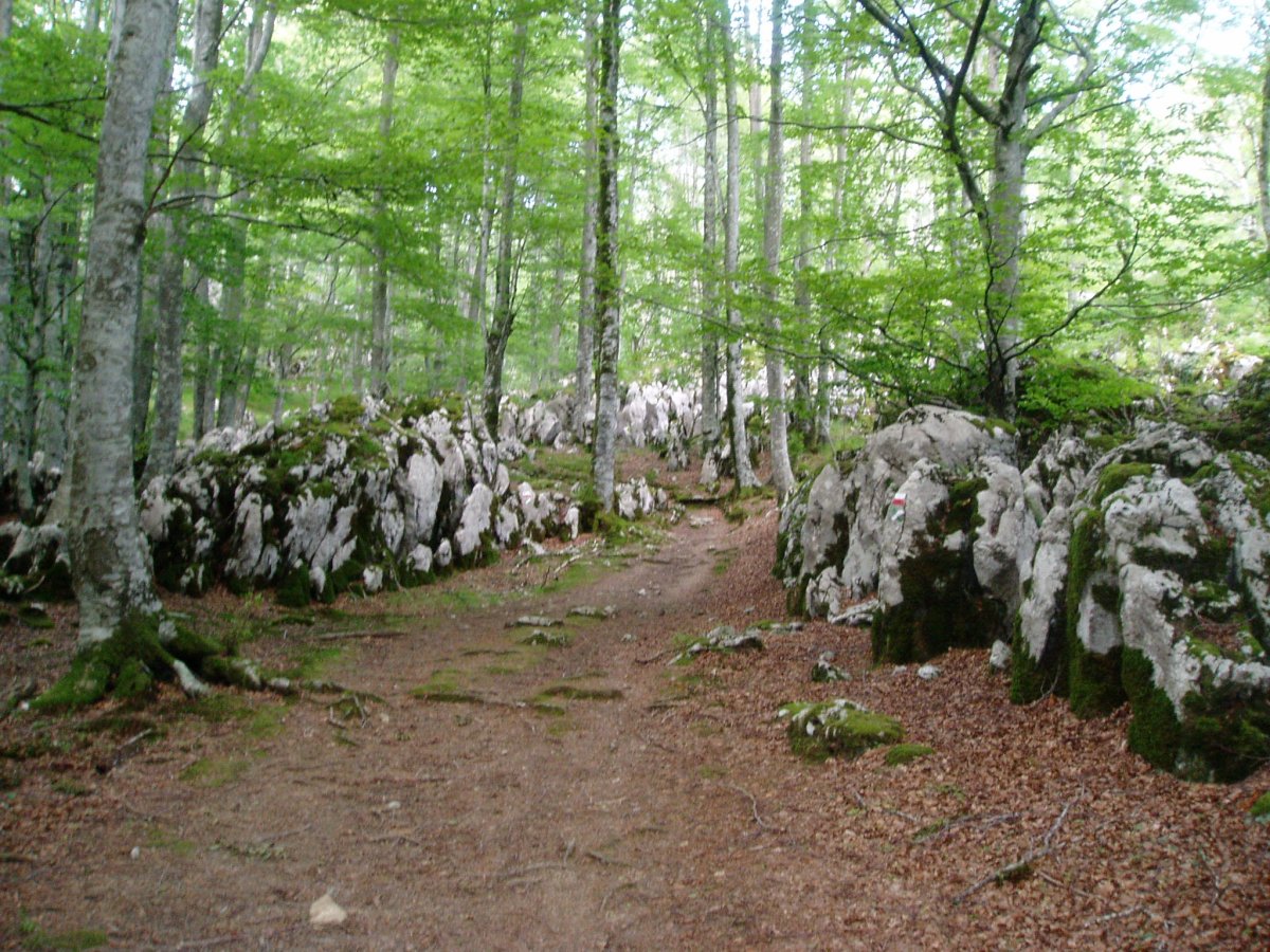 Irupagoeta-Lizarrusti1