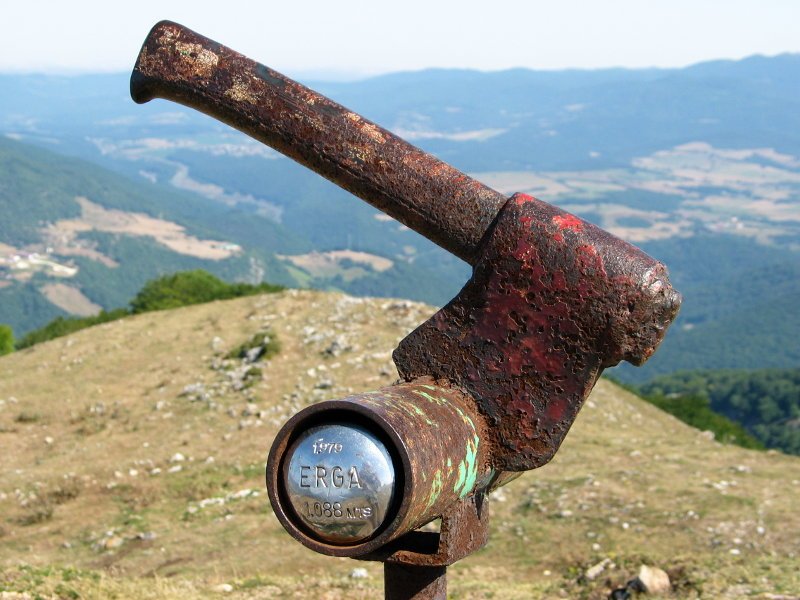 Buzoia