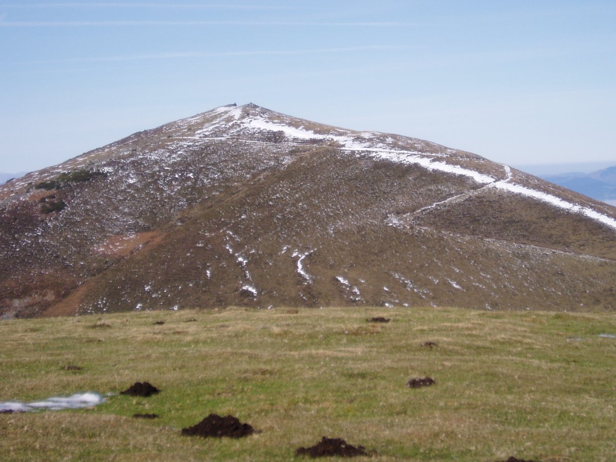 Oderiaga Usotegietatik