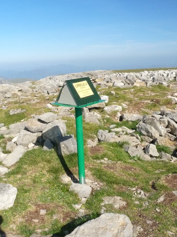 Urkuluko txartelontzia