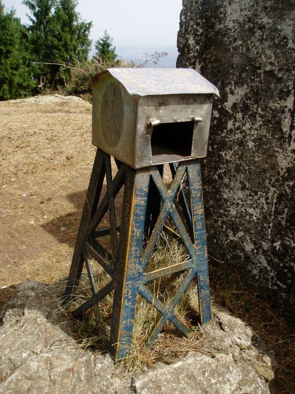 Txartelontzia