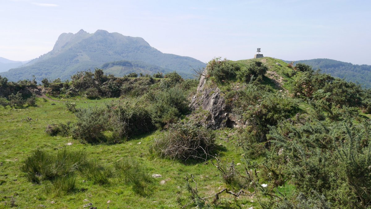 Erlaitz tontorra