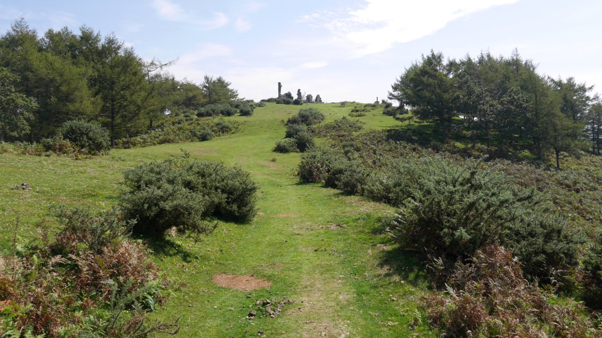 Pagogaña