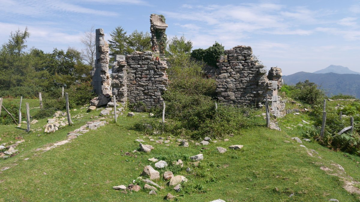 Pagogaña tontorra