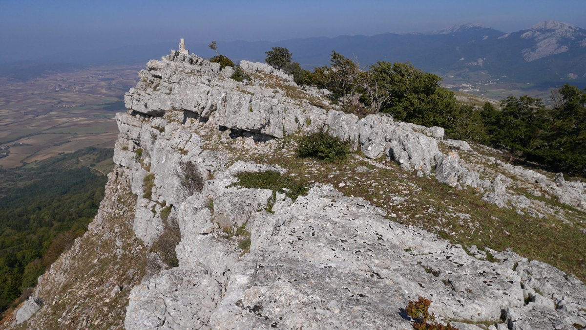 Ballo tontorra
