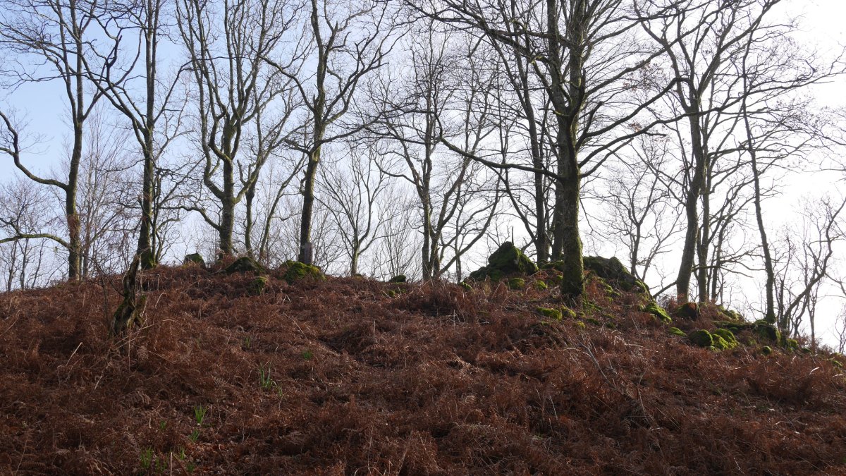 Saratze gaina, iratzez inguratua