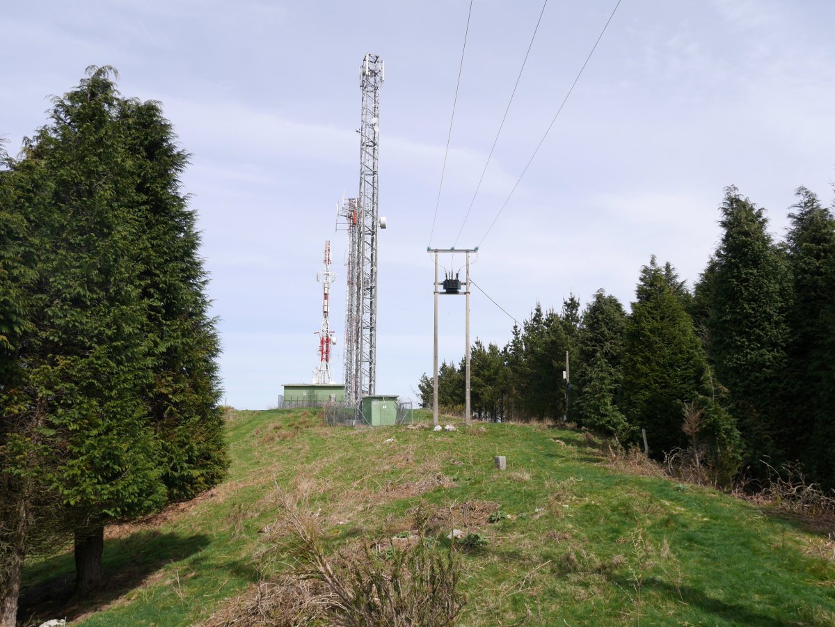 Tontorra