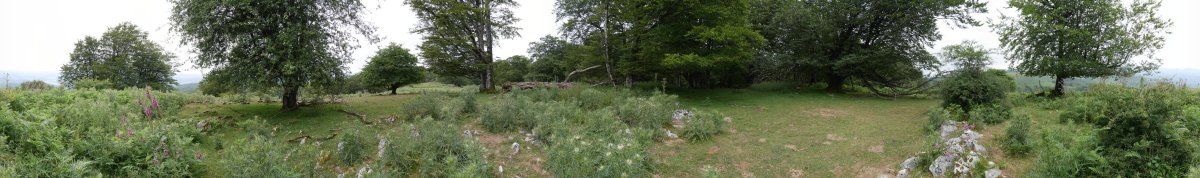 Sanmigelargain gaina, Hegoaldean