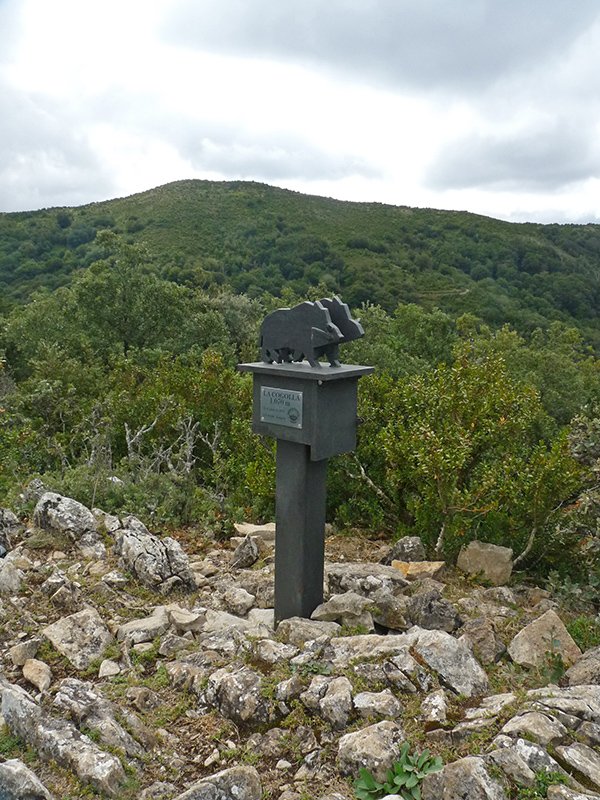 Cogollako txartelontzia