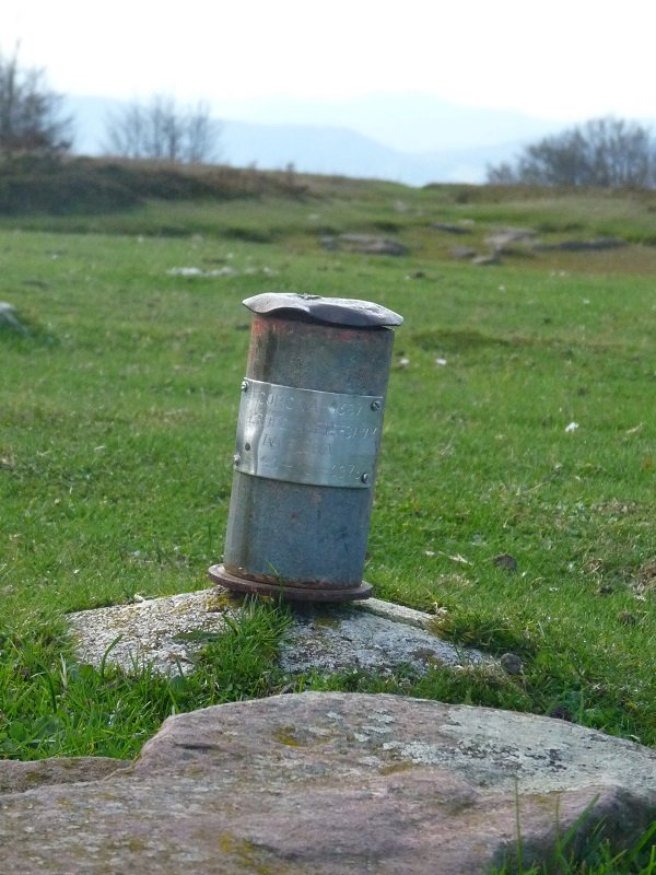Txartelontzia