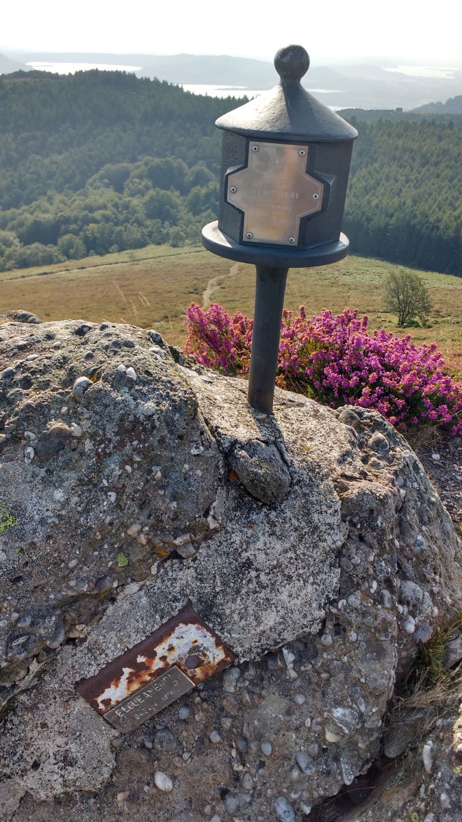 Albiturri tontorra postontzia