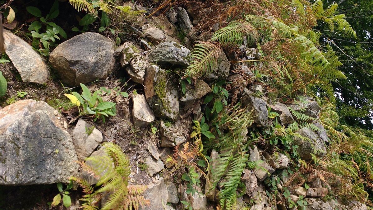 Keixetako Egia Hegoa 3