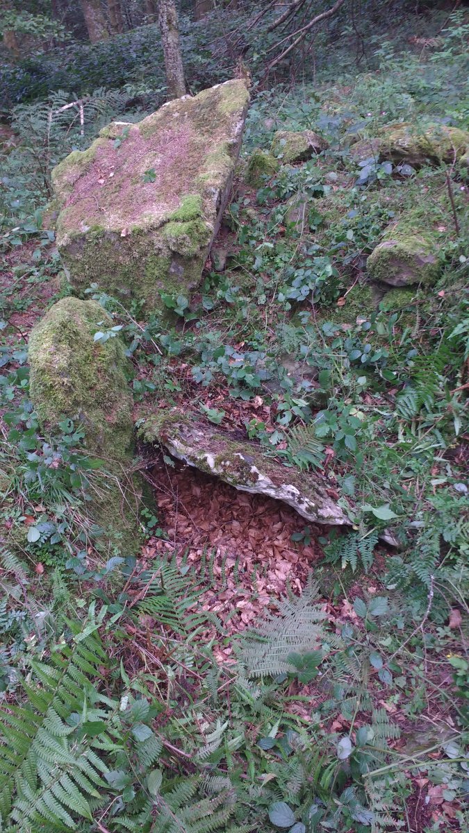 Agerreburu Trikuharria 2