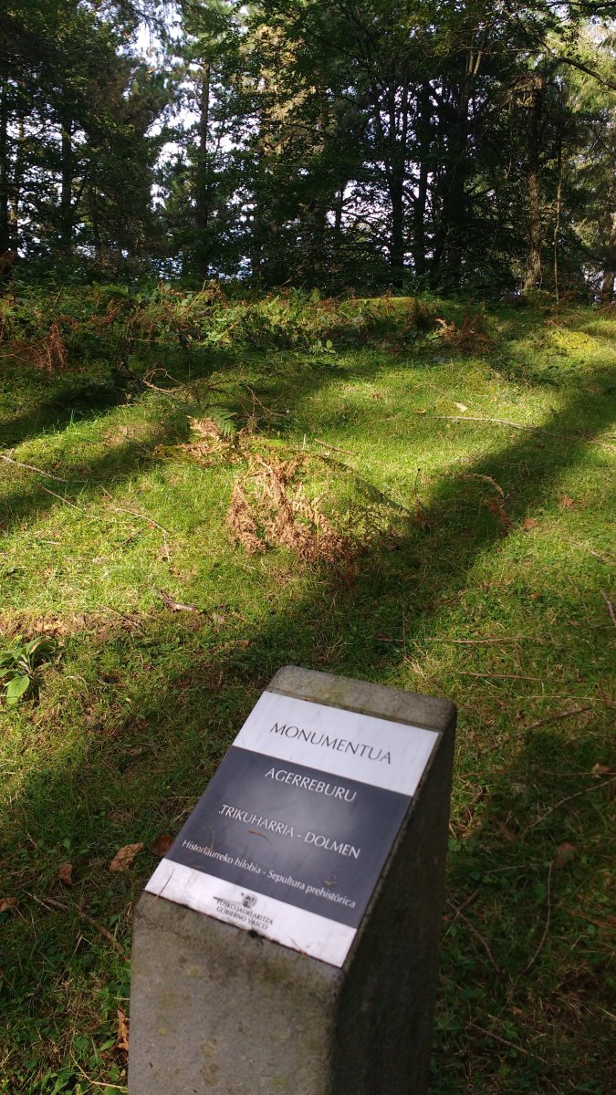 Agerreburu Trikuharria (2017)