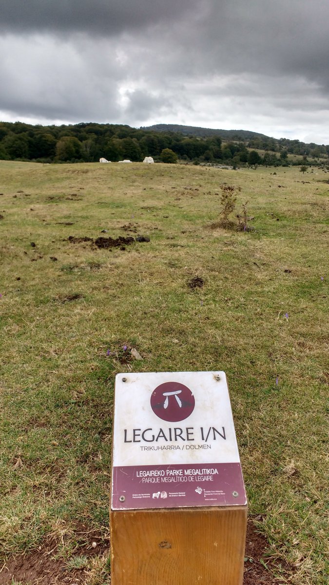 Legaire Iparra trikuharria (2017)