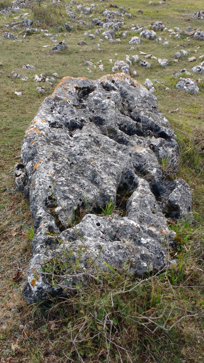 Mendiluze zutarria