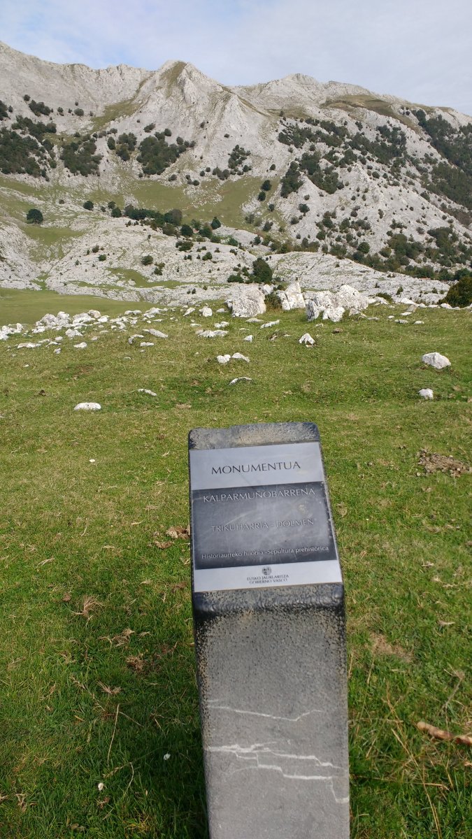 Kalparmuñobarrena trikuharria (2017)