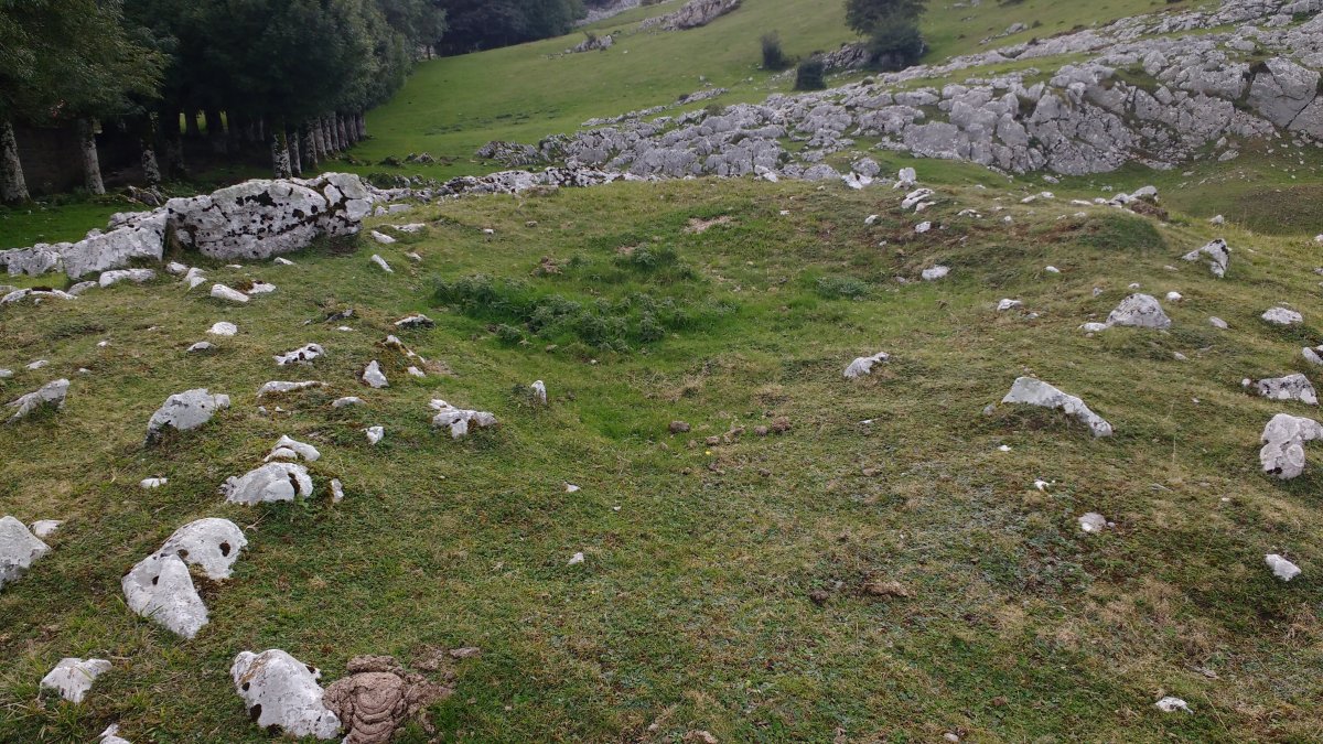 Gorostiaren Sart. trikuharria 2