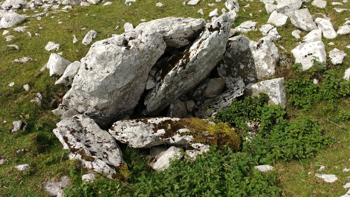 Artzanburu trikuharria 4