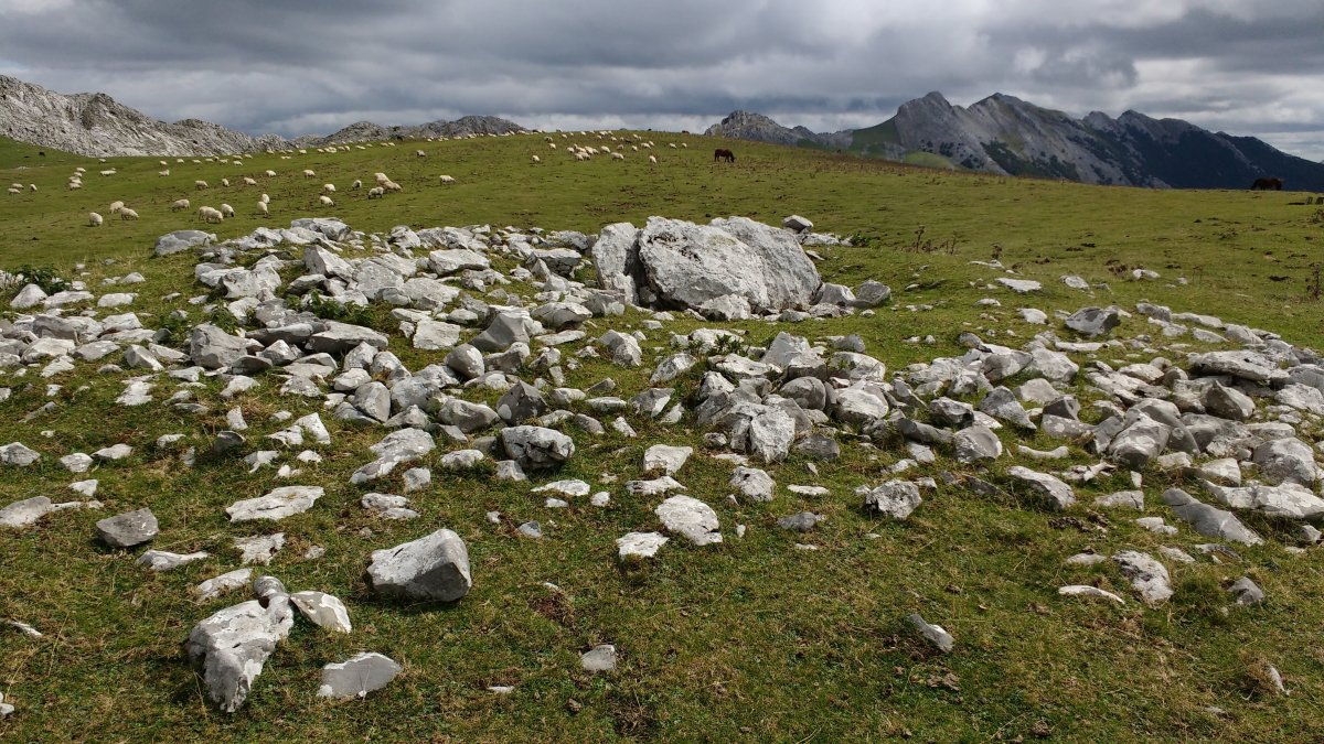 Artzanburu trikuharria 3