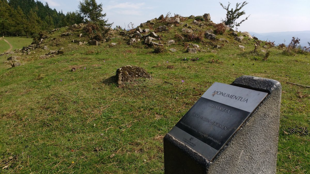 Iruarrieta trikuharria (2017)