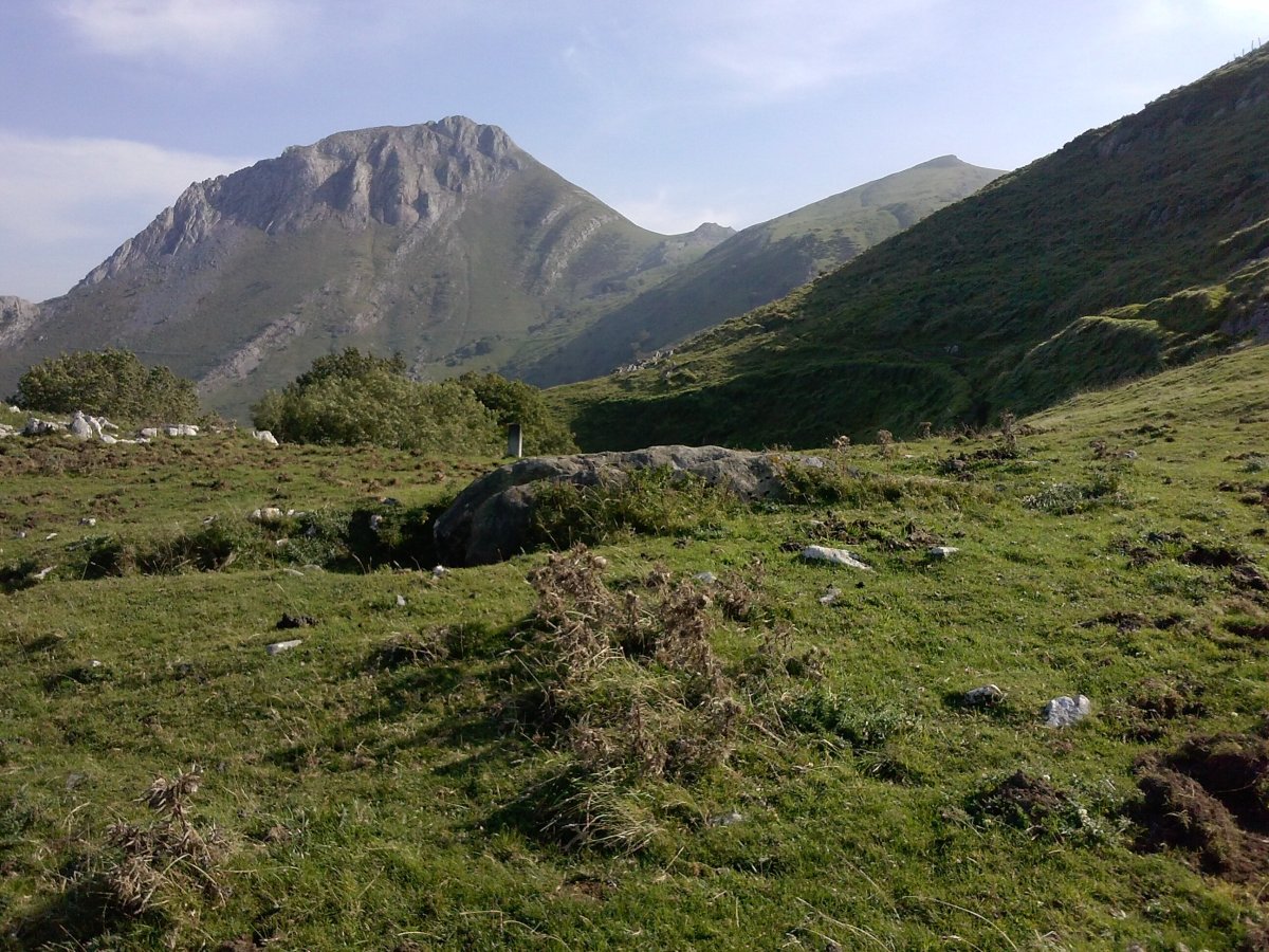 Ausokoi trikuharria 3