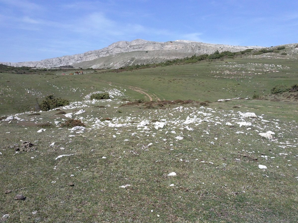 Fuente Fria (Iturriotz) trikuharria 2